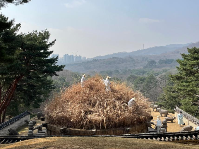 예초의 거행 모습(2022) 