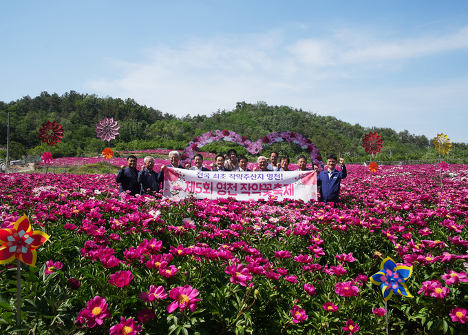 작약 주산지 영천! 제5회 영천 작약꽃축제 개막!(화남면 삼창리)