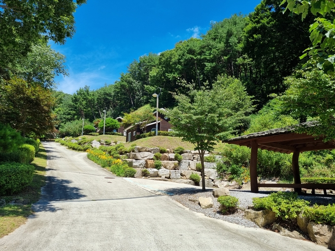 산삼자연휴양림