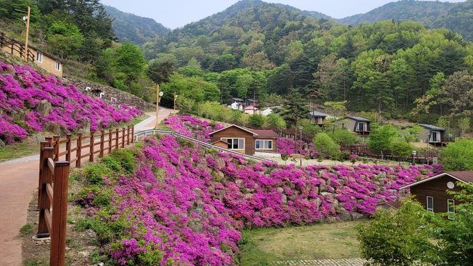 구재봉자연휴양림