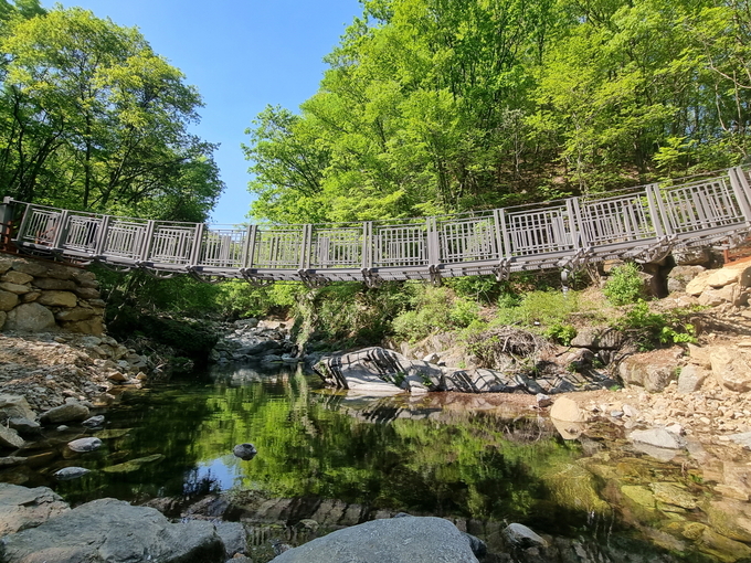 가평 연인산 명품 계곡길(출렁다리)