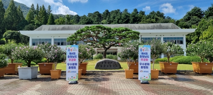 무궁화 품평회