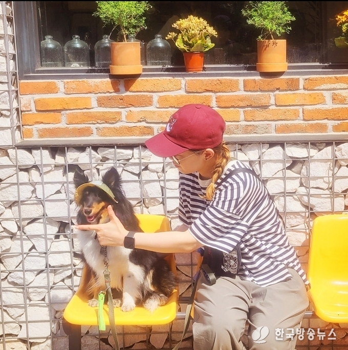 서울 논현동 반려가족