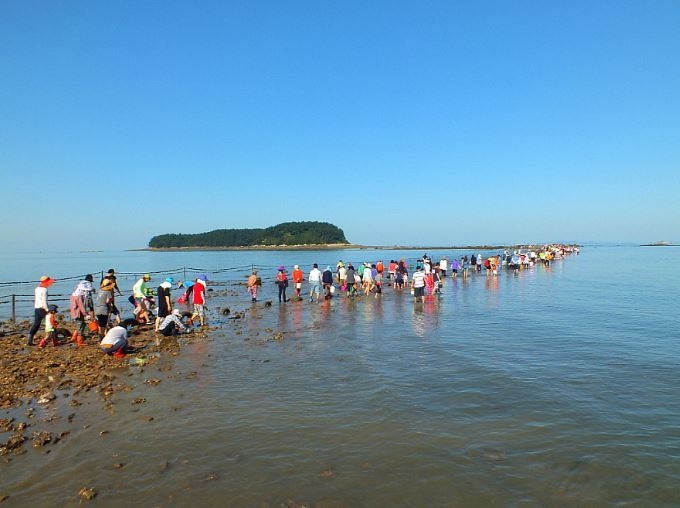 무창포신비의바닷길(인)