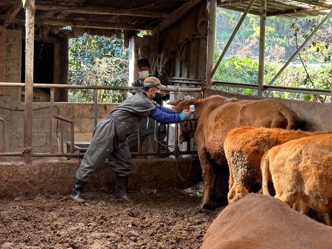 긴급백신접종 사진