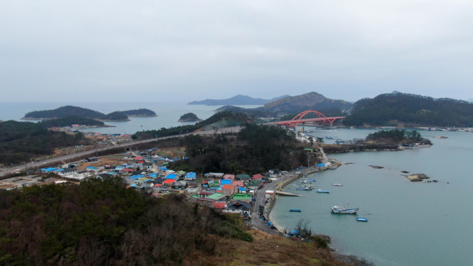섬 숲 관련 사진