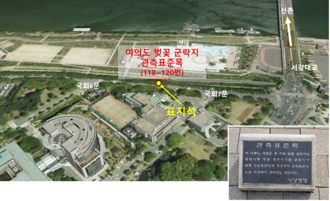 여의도 윤중로 벚꽃 군락지 관측 장소