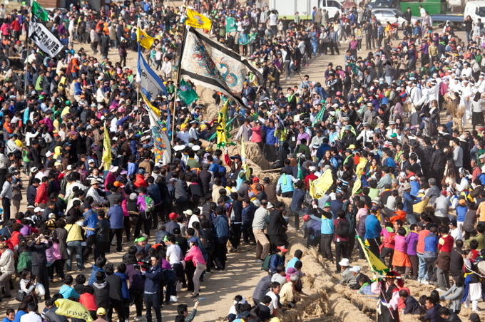 기지시줄다리기 축제 사진