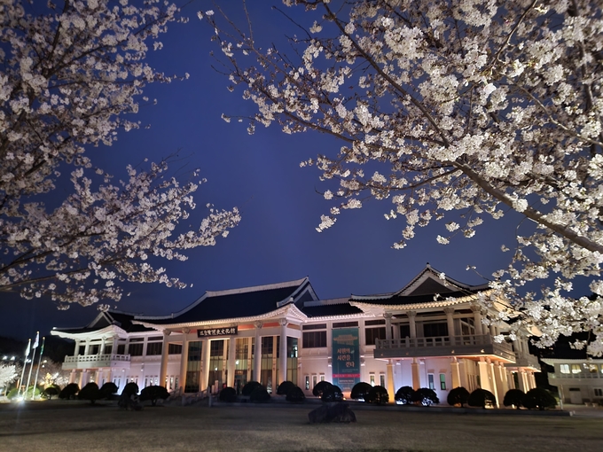 경산시-벚꽃 입은 삼성현역사문화공원에 야경 보러 오세요!