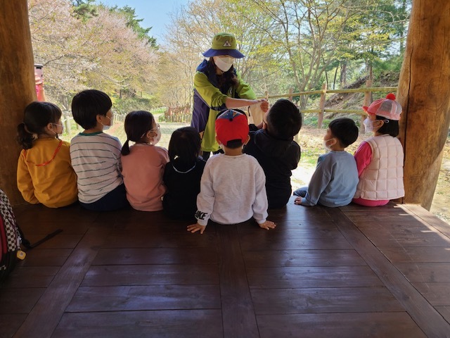 유아숲 체험활동 사진