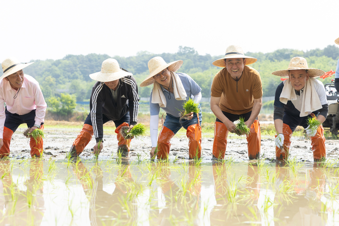  22일 오전 경기도 여주 가남읍 연대리에서 열린 2024년 경기미 모내기 행사에서 김동연 경기도지사, 이충우 여주시장, 정병관 여주시의회 의장, 도의원, 시의원 및 농업인 등이 손 모내기를 하고 있다.