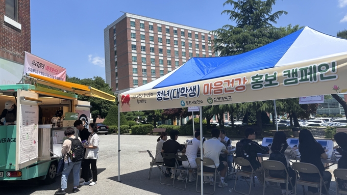 캠페인