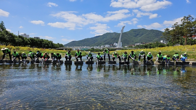 경산시- 자연보호경산시협의회 남천에 미꾸라지 치어 방류