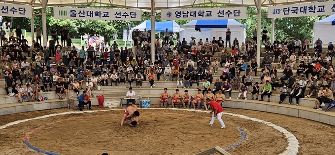 경산시- 2024 경산자인단오제 기념 대학장사 씨름대회 및 전국 남녀 궁도대회 개최(씨름대회)1