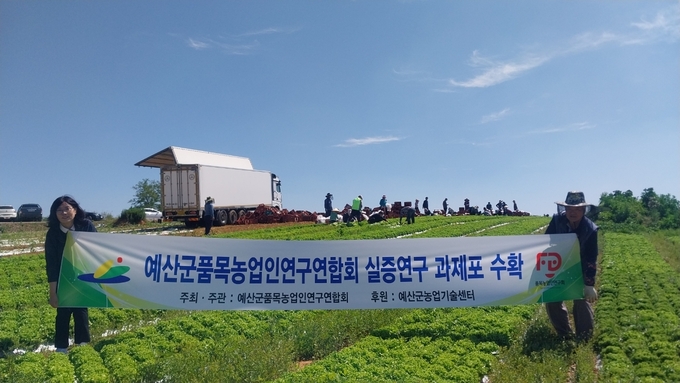실증연구 과제포 수확 사진