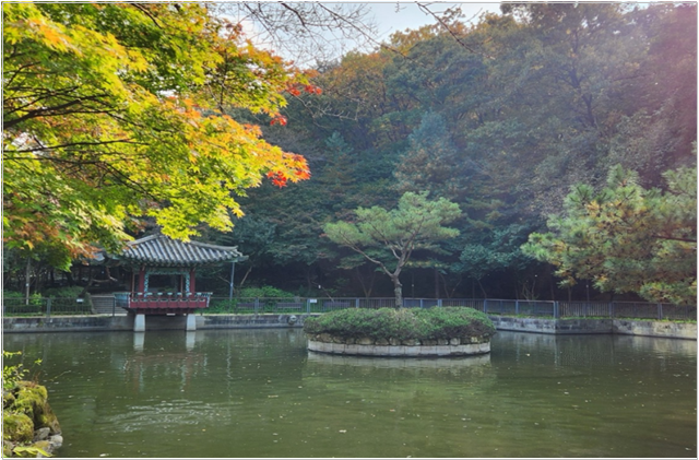 관악산 호수공원 현장전경