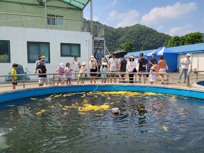 생태체험학교 먹이주기