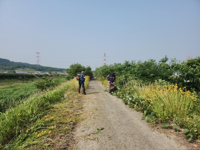 지방하천 예초 사진