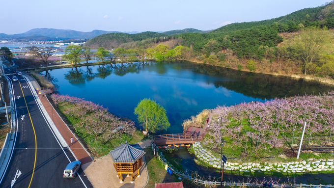 경산시- 경산시 대표 저수지 10선 새롭게 탄생(반곡지)