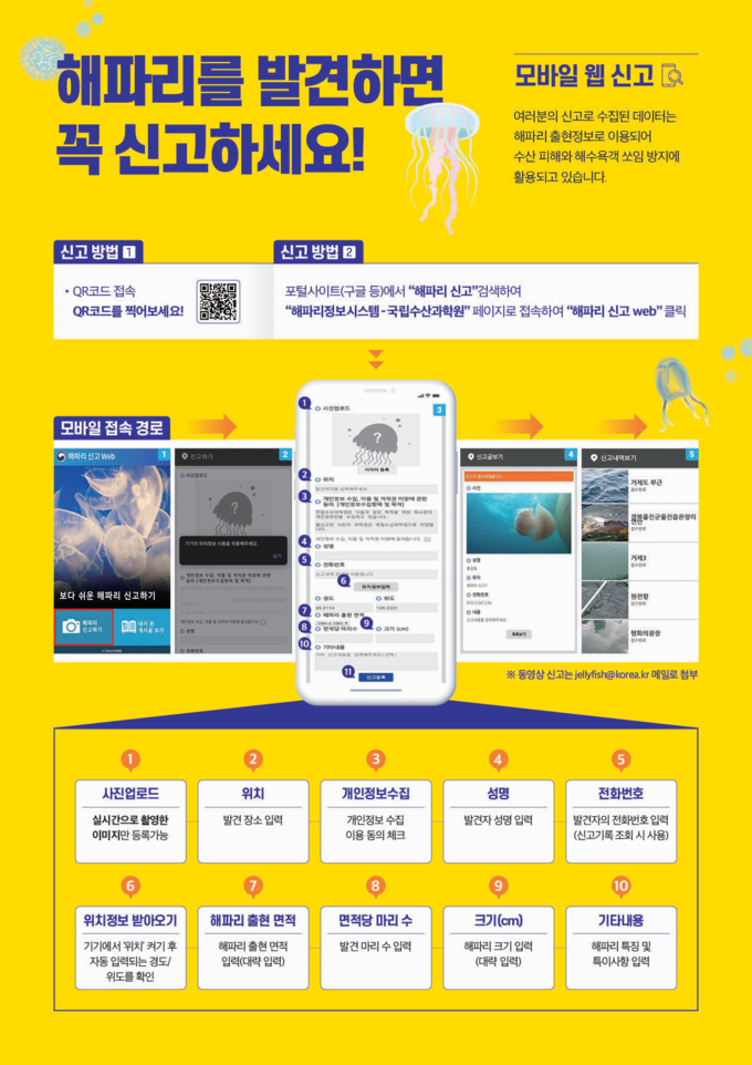 해파리 신고 방법