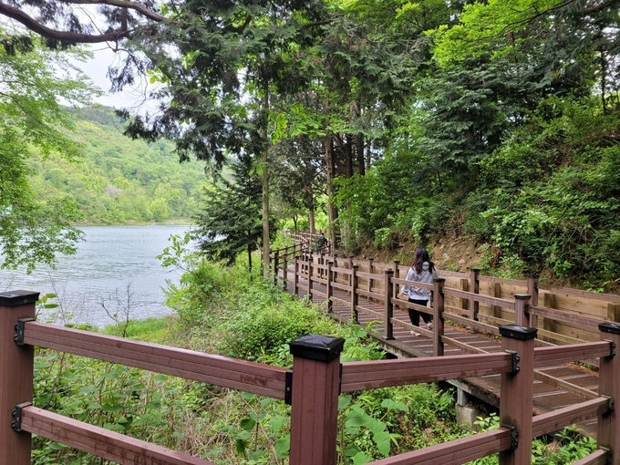 월명공원 데크길