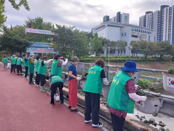 경산시-진량읍, 토산지 가드레일 국화꽃 식재