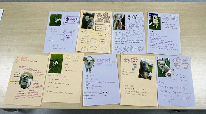 홍보카드