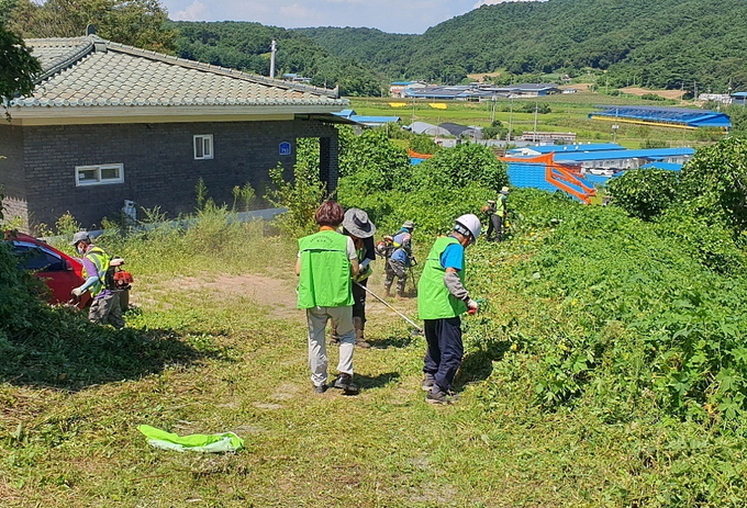 대흥면 취약가구 주변 환경개선 봉사 모습