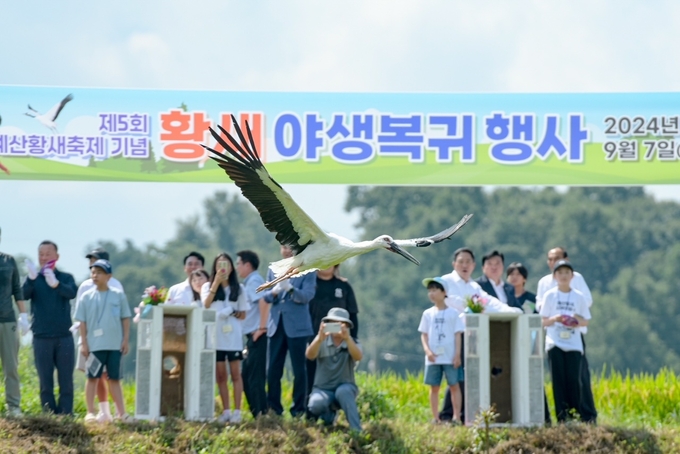 황새 방사행사