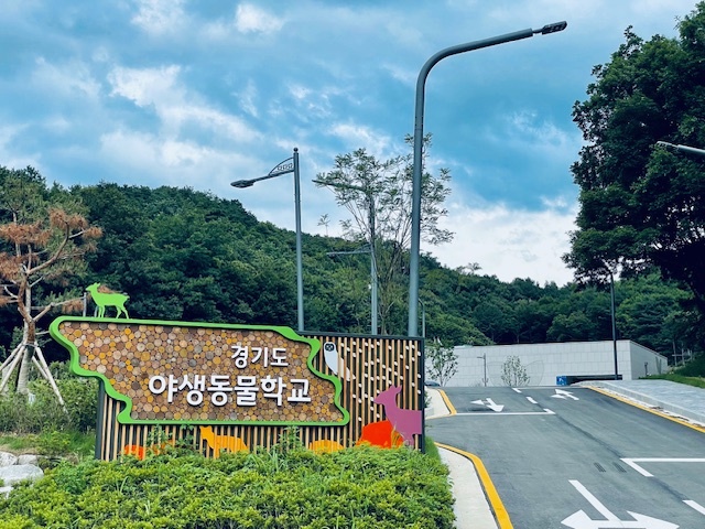 야생동물 학교