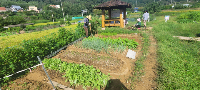 동부산 공영텃밭 – 기장군 철마면 웅천리 311번지