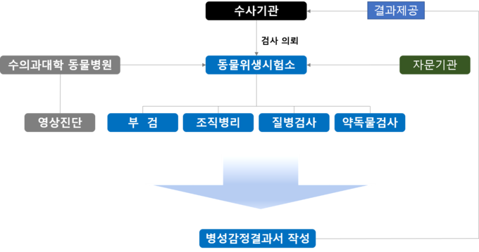수의 법의 검사 수행 체계도