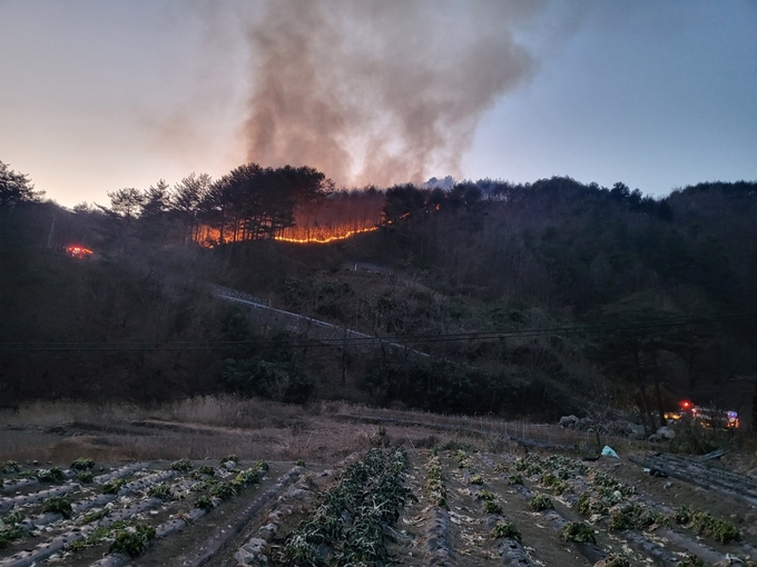 25.1.4. 삼척 산불 현장