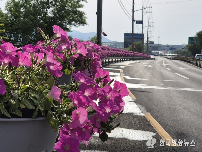 (자인면)자인면, 꽃내음 따라 걷는 경산자인단오제