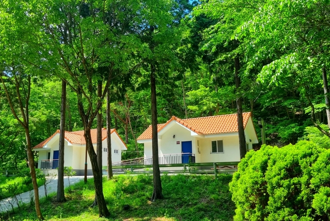 남해편백자연휴양림 1