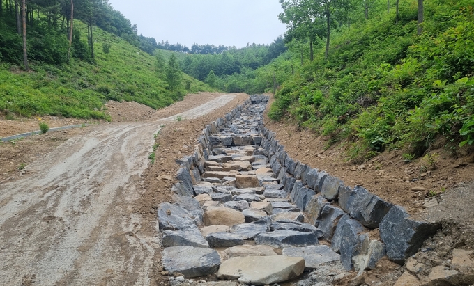 도_산림자원연구소_보령사무소_보령시_웅천읍_수부리_산24번지(계류보전사업)