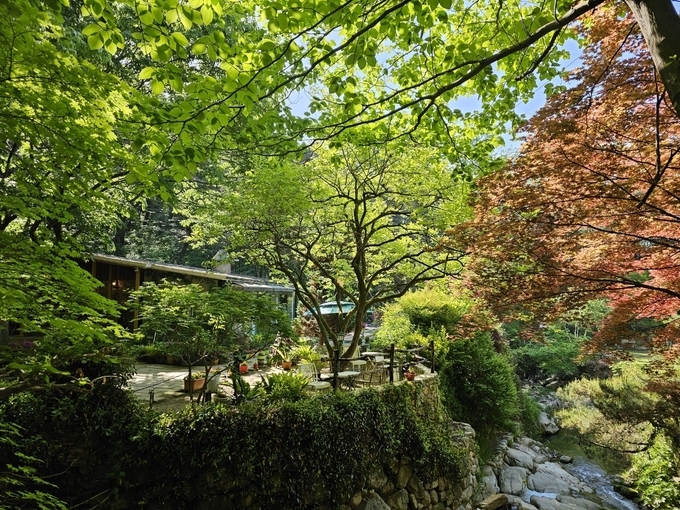 비밀의화원.