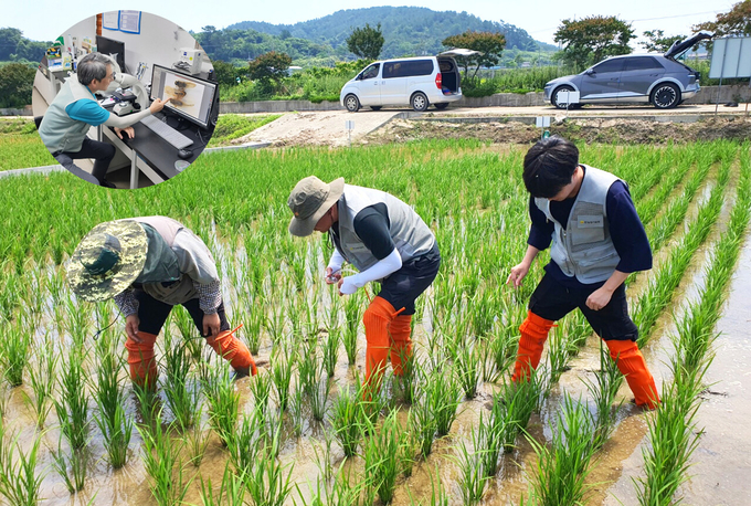 중앙·도·시군 합동으로 병해충 예찰을 실시하고 있다(전남농기원 제공)