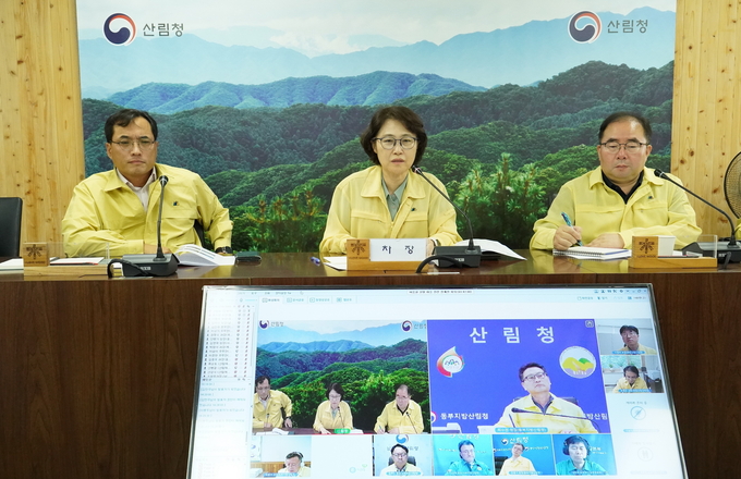  이미라 산림청 차장이 정부대전청사에서 여름철 산불 대응을 위한 관계관회의를 주재하고 있다.