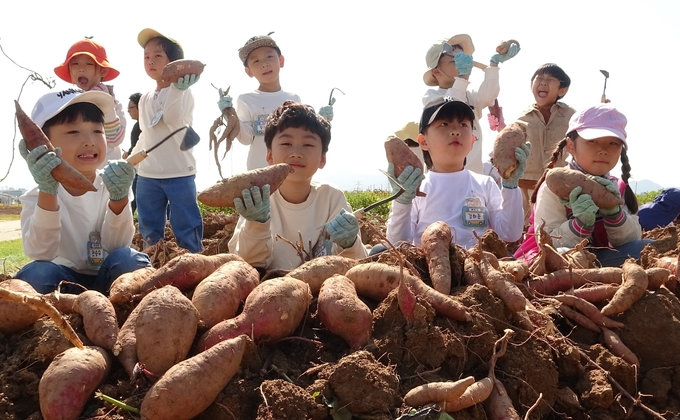 2024년 어린이 초청 고구마·땅콩 수확 체험 행사 모습