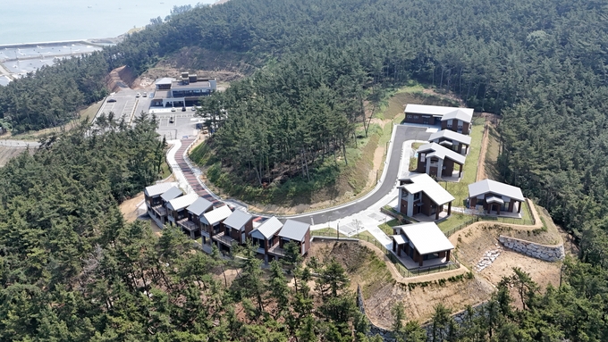 원산도자연휴양림