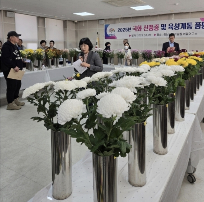 농기원, 국화 신품종 계통 품평회 개최