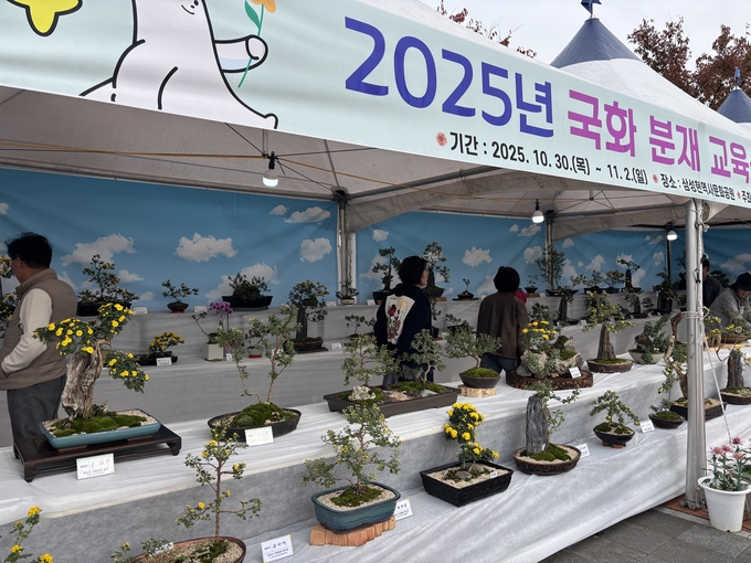 경산시 - 국화분재 작품 전시회 개최