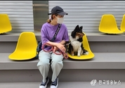 국내 등록 반려동물 300만 시대…구조 동물은 11만여 마리