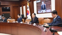 재외국민 비대면 진료 허용…신산업 20개 규제 혁신 속도