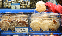 정부 “일본산 수입 수산물 검사 결과 방사능 검출된 것 없어”