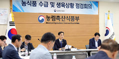 여름철 대비 노지채소 생육 상황 철저히 점검한다