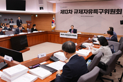 글로벌 혁신특구·규제자유특구 신규 선정 추진