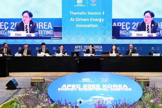 APEC 에너지장관회의 '공동선언문' 채택…'전력망 안정' 공감대