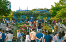 천만의 정원, 서울국제정원박람회… 내년에는 서울숲·매헌시민의숲에서 180일간